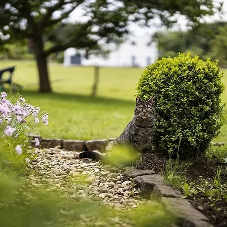 Holiday home On The Beautiful Field *