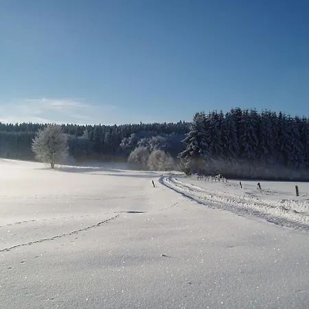 Holiday home On The Beautiful Field Brilon